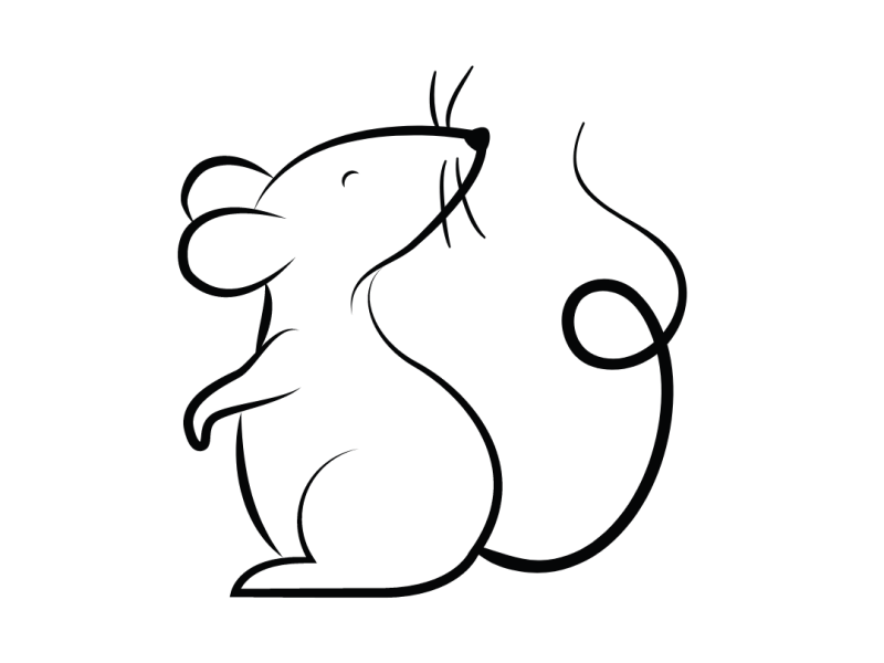 Mice as Class Pets