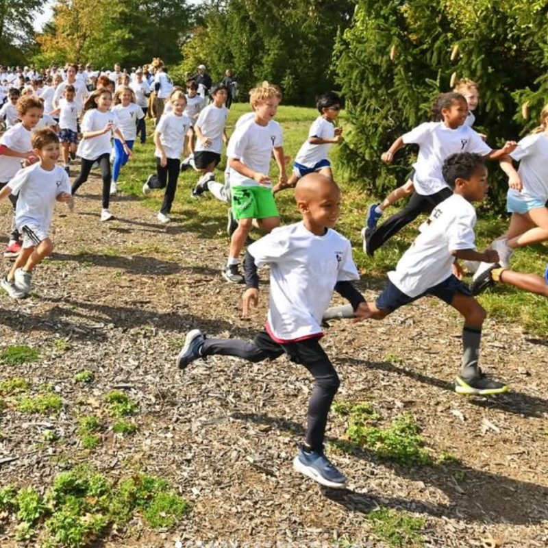 Celebrating Wildcat Weekend