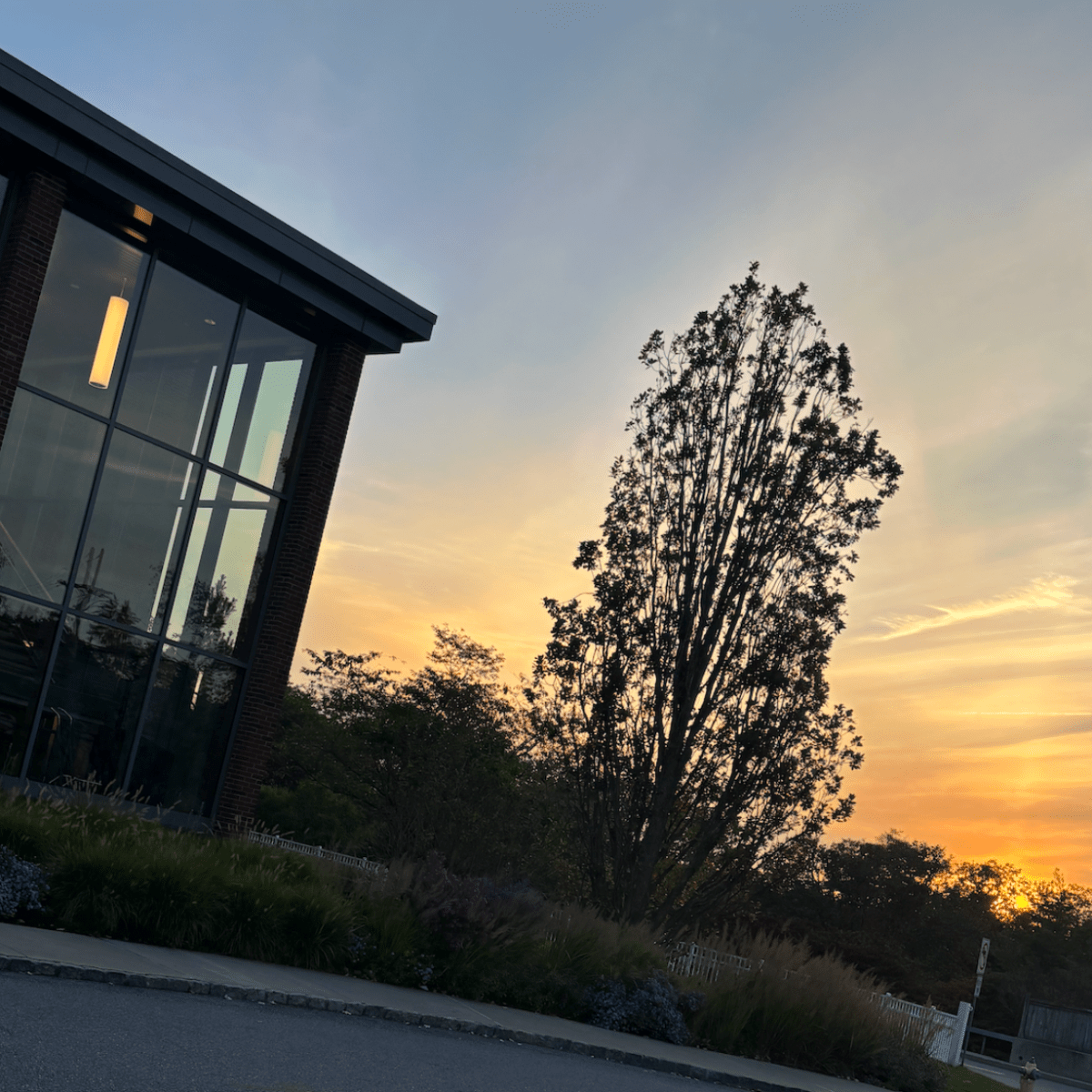 Thanksgiving Traditions