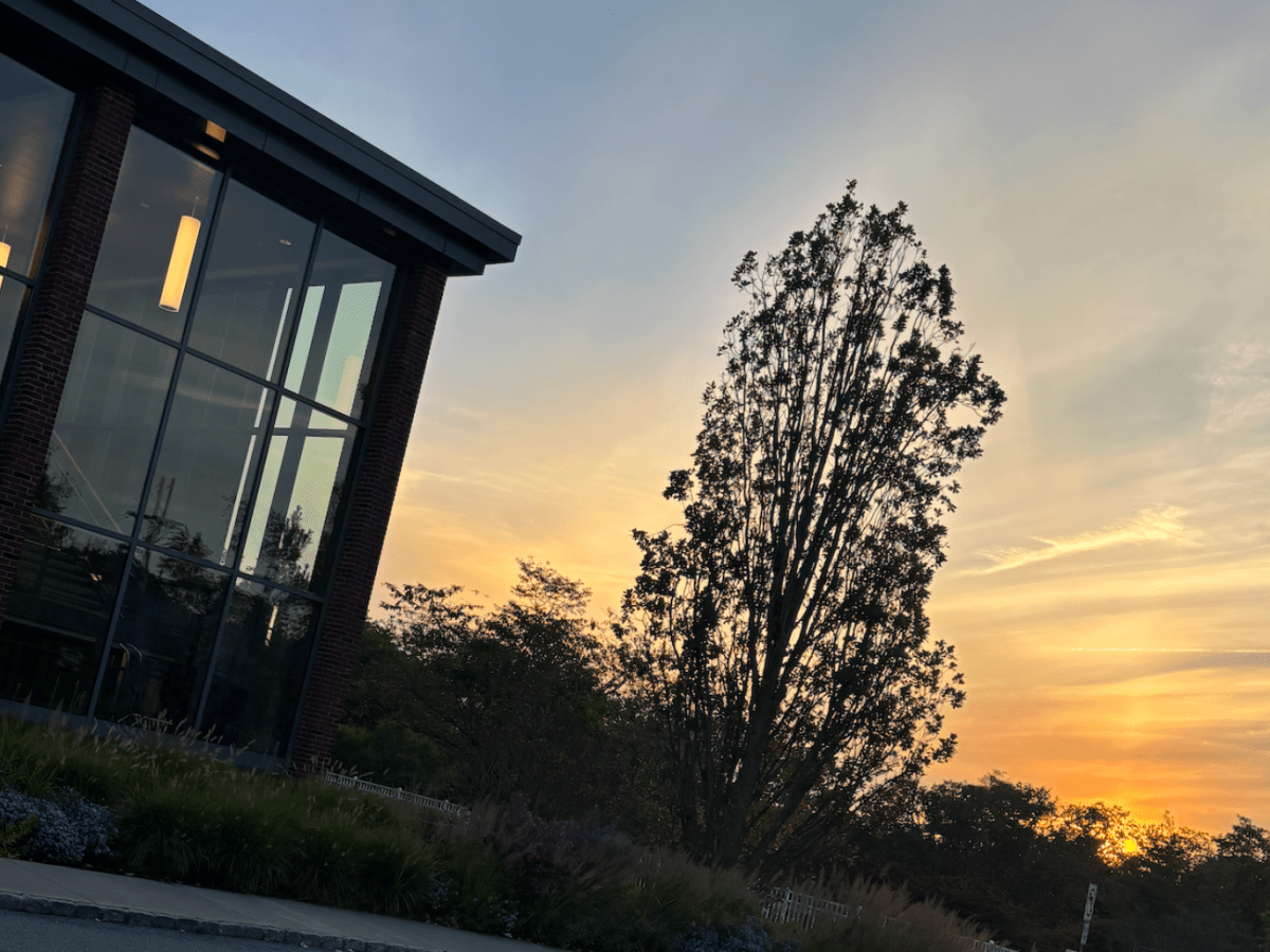 Thanksgiving Traditions