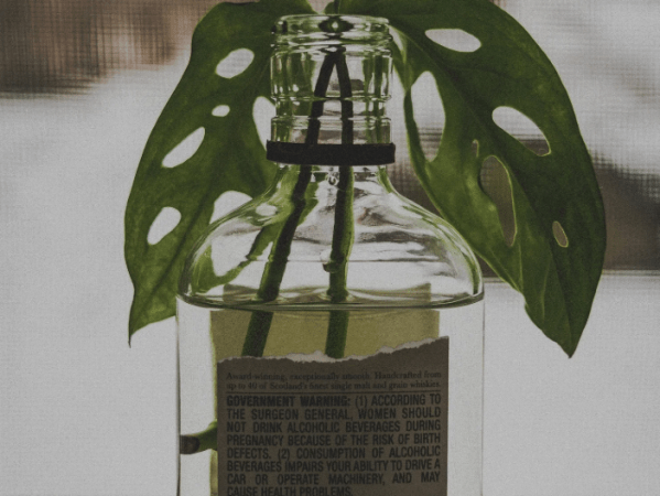 Mr. Cerpa Turns Life Into Poetry With New Book The Palace