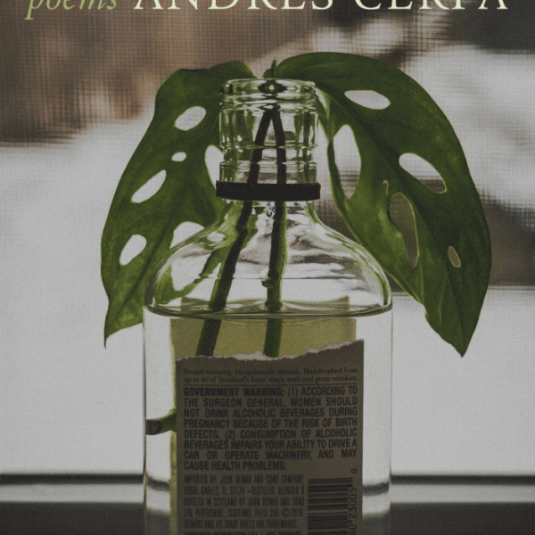 Mr. Cerpa Turns Life Into Poetry With New Book The Palace