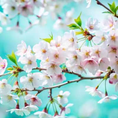 April Showers Bring May Flowers